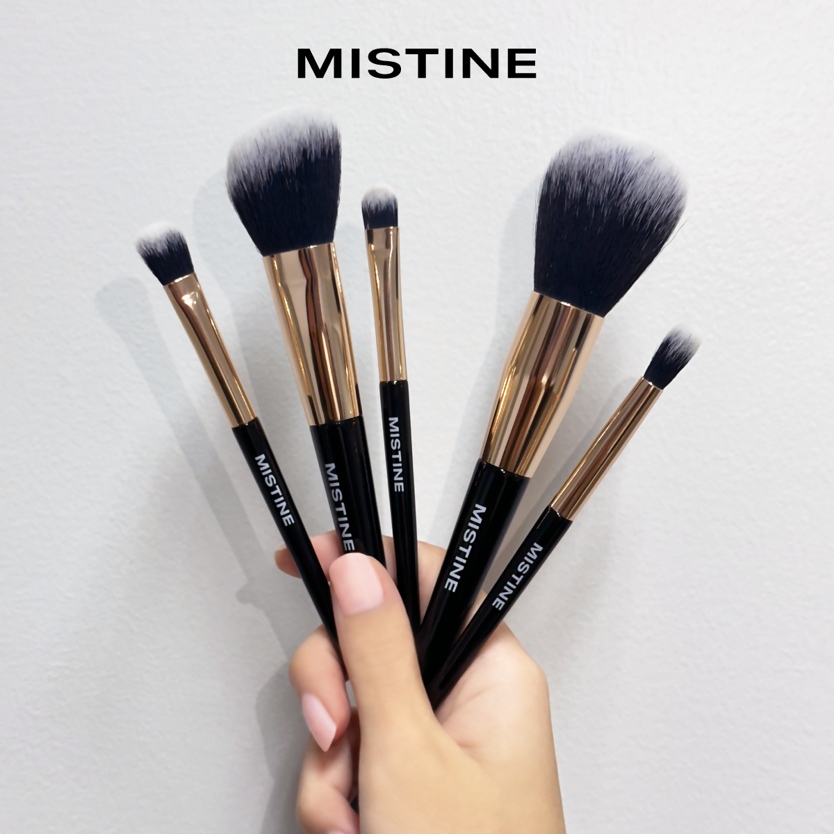 Mistine-Brush-Set-04