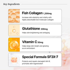 03_Key Ingredients_수정