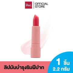 SHEENE MOISTURIZER LIP CARE PLUS