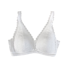 BSC Lingerie Sexy Lace Underwear Wireless Bra Triangle Cup Style - BB3333