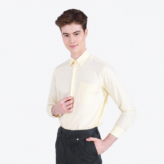 ARROW Non Iron Long Sleeve Shirt, Comfort Fit
