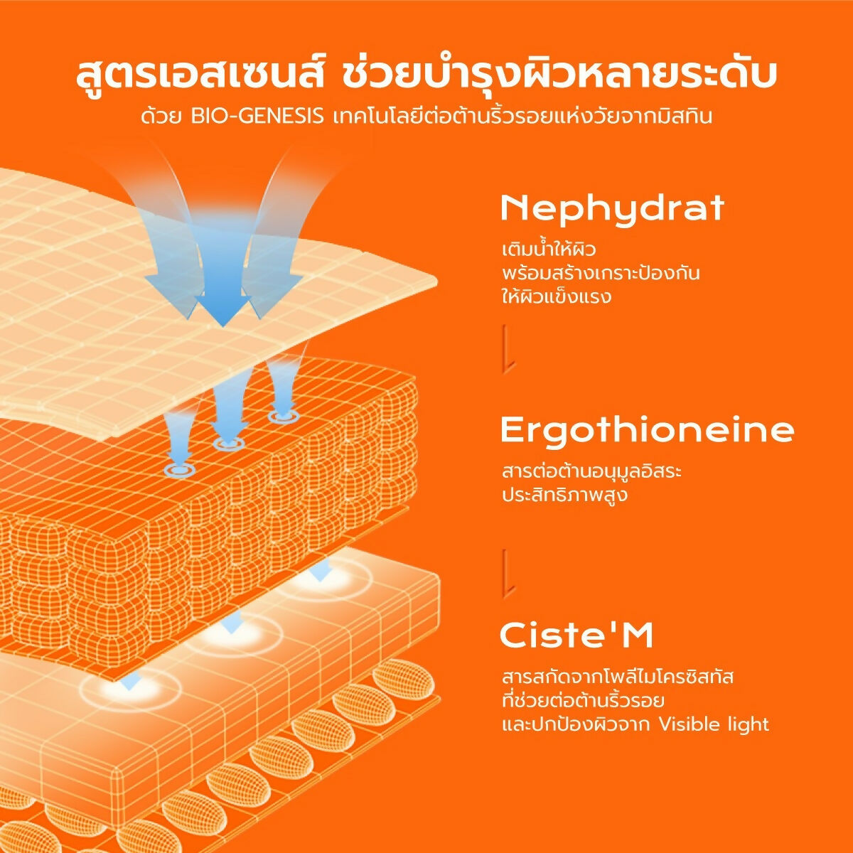 LINE_ALBUM_Mild Care Sunscreen Product_230905_6